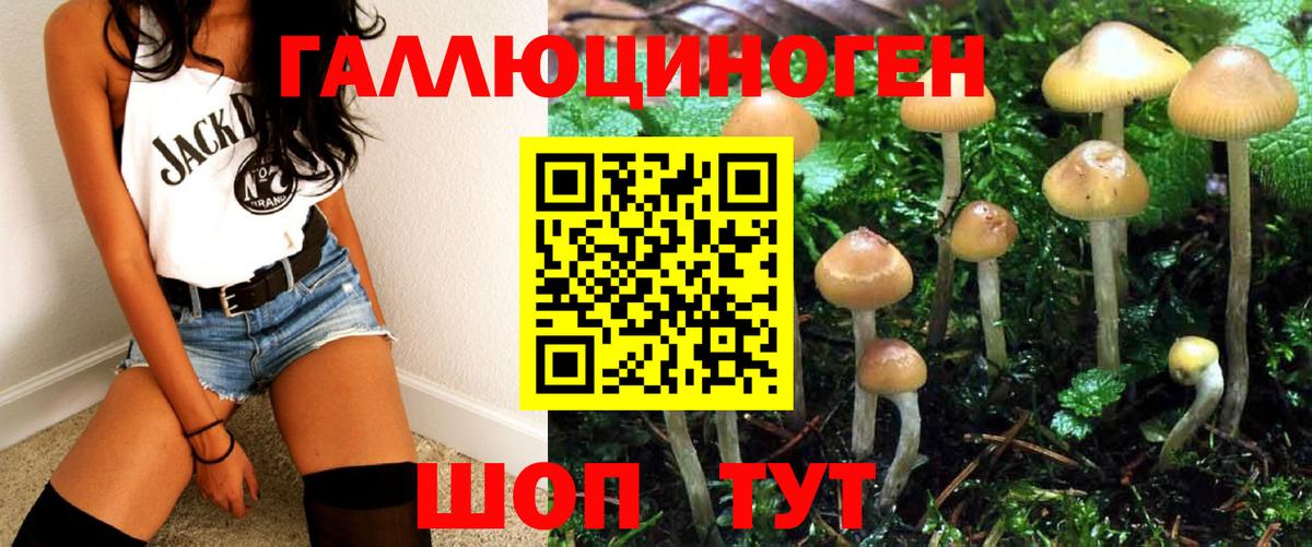 Усть-Джегута  Псилоцибиновые грибы GOLDEN TEACHER  Вход с VPN  Галлюциногенные грибы ЛСД 